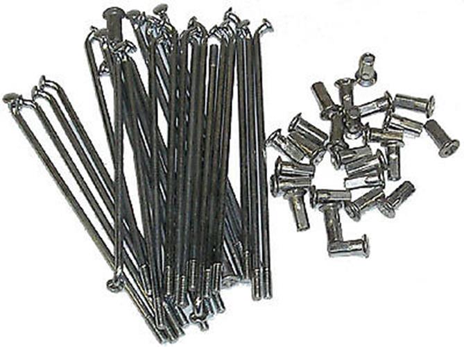 BSA B31 B33 A7 A10 A50 A65 TRIUMPH 3TA T90 SS SPOKE SET 42 BSA B31 B33 A7 A10 A50 A65 TRIUMPH 3TA T90 SS SPOKE SET 42