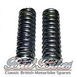 BSA A, B, M Group PAIR of Plunger Bottom Springs - 89-4259